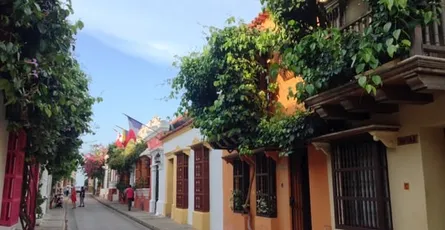 Cartagena 塊陶啊